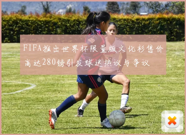 FIFA推出世界杯限量版文化衫售价高达280镑引发球迷热议与争议